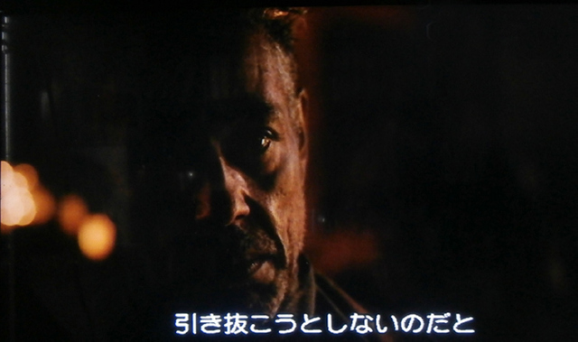 ウエストワールド象の杭.jpg
