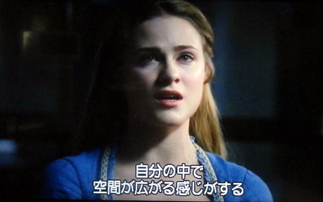 WESTWORLD自分の中で広がる.jpg