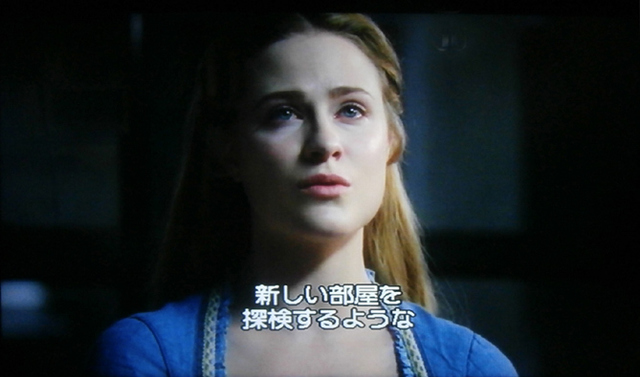 WESTWORLD新しい部屋を探検す.jpg