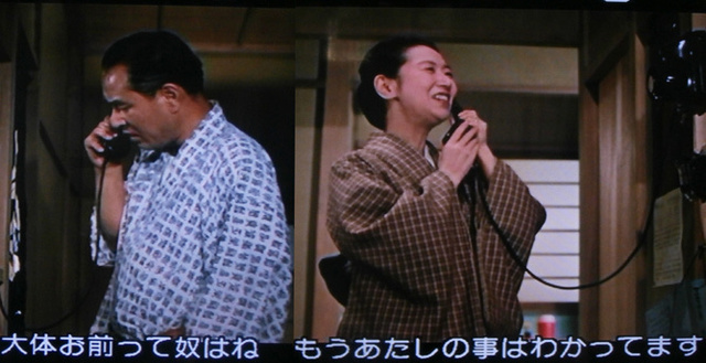 彼岸花おまえって奴は.jpg