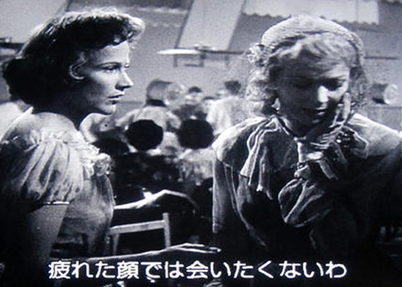 彼岸花ビビアン・リー.jpg