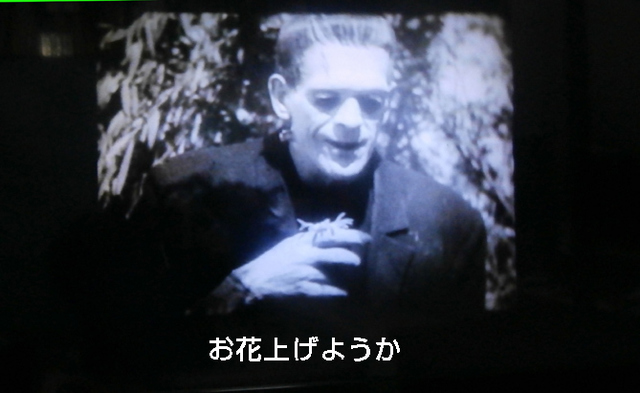 ミツバチのささやきお花.jpg