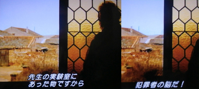 ミツバチのささやき犯罪者の.jpg