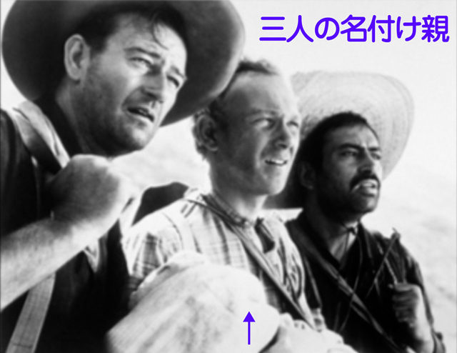 八月の鯨ハリー・ケリー・ジ.jpg