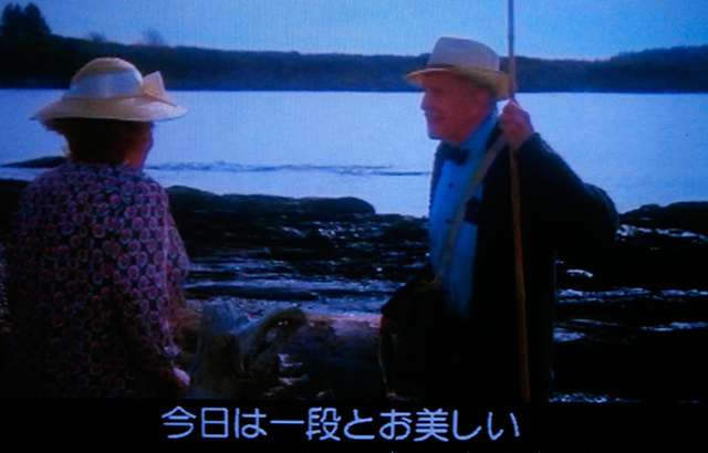 八月の鯨一段とお美しいです.jpg